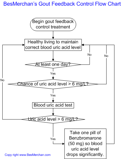 BesMerchan's Gout Feedback Control Flow Chart